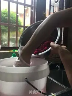 Make Flamingo yeast step 14