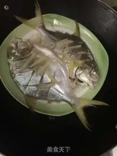 Make Vacuated goldfish step 4