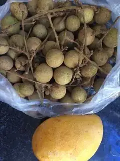 Make Cinnamon Mango step 0