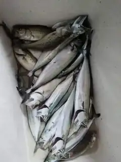 Make I used to cook little swallow fish step 2