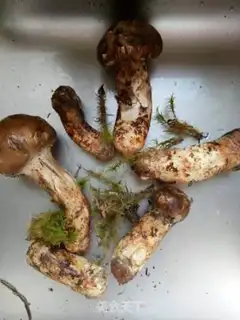 Make The fragrance step 0