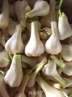 Make Garlic step 0
