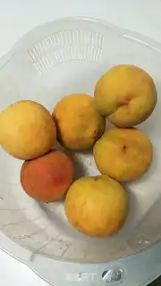 Make Peach can step 0