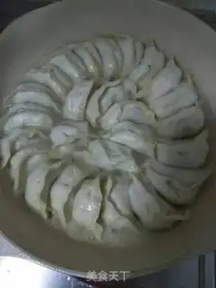 Make Fried dumplings step 9