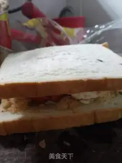 Make Homemade sandwiches step 5