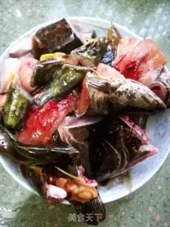 Make The wild fish step 0