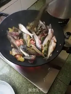 Make The wild fish step 2