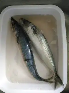 Make Red-burned mackerel step 0