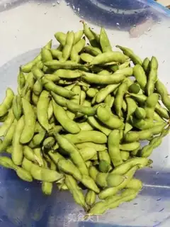 Make Saline fragrance boils beans step 0