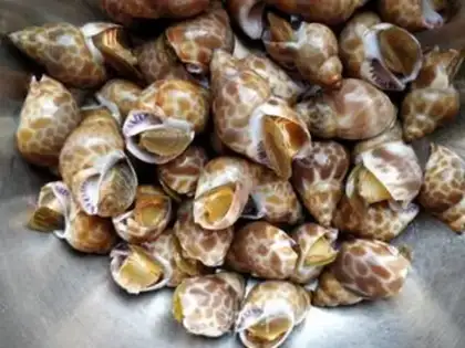 Make Hot snails step 2