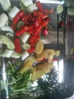 Make Squidfish step 1
