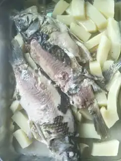 Make Squidfish step 5