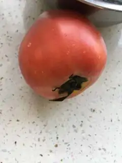 Make Shrimp tomato noodles step 0