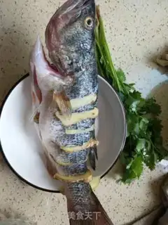Make Vacuate herring step 5