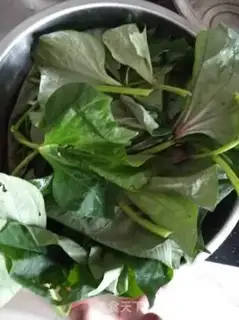 Make Garlic melon leaves step 0