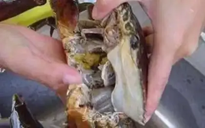 Make Crabs step 0