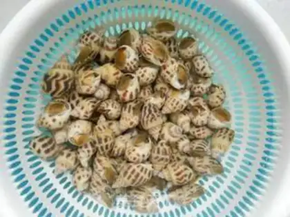 Make Hot snails step 1