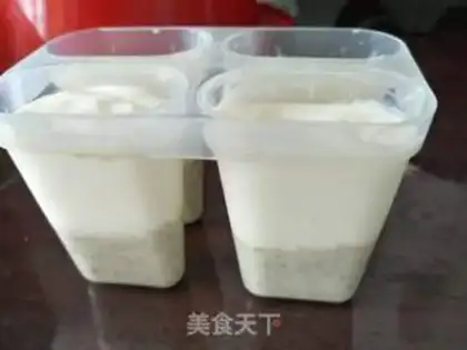 Make Yogurt green bean ice cream step 8