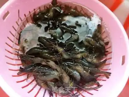 Make Salt water for shrimp step 0