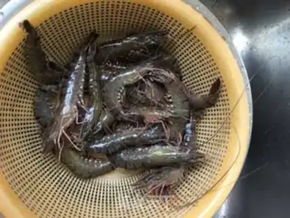 Make White burning shrimp step 0