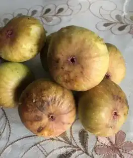 Make Sugar-free figs step 0