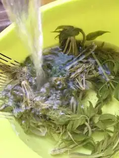 Make A fragrance step 4