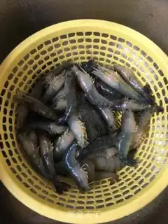 Make Tastes like rosy shrimp step 0