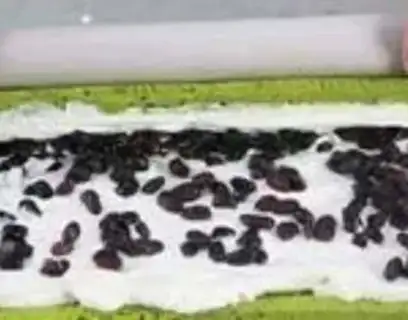 Make Tea, cream, bean rolls step 12