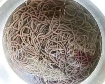 Make Frozen root powder step 2