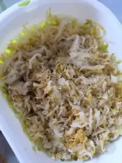 Make A lasagna onions step 1
