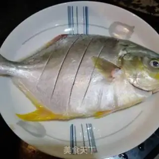 Make Vacuated goldfish step 0