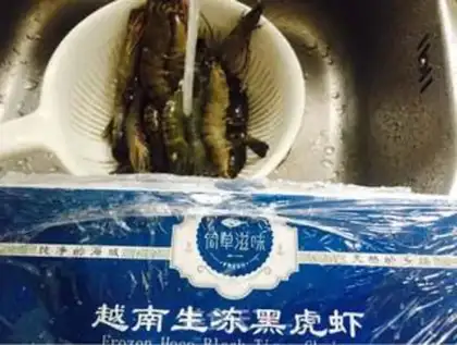 Make Shrimp step 0