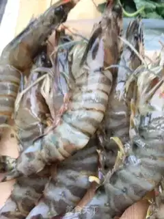 Make The guacamole step 8