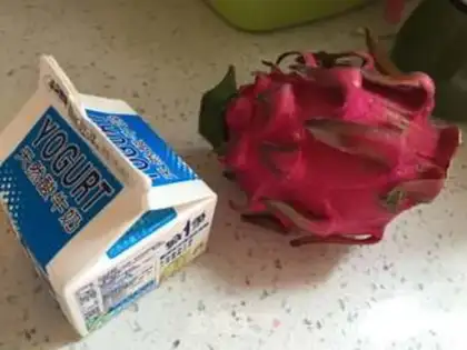 Make Flamingo ice cream to cover the snow top step 0