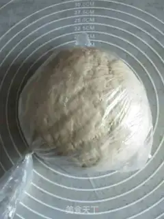 Make Shrimp in five colours step 7