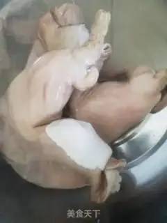 Make A halogen pig