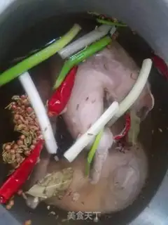 Make A halogen pig