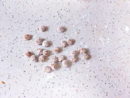 Make Black Sugar Pearl step 14
