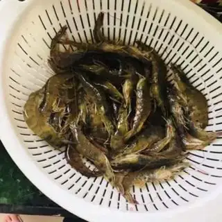Make Spicy shrimp step 0