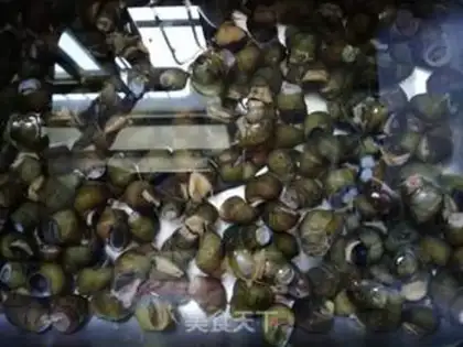Make Taste snails step 3