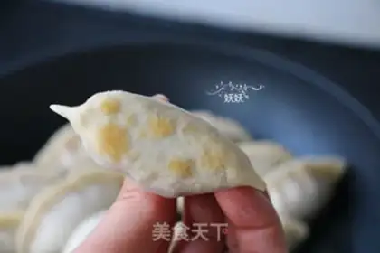 Make Fried beef dumplings step 7