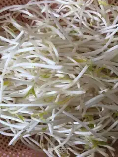 Make The green bean sprouts step 0