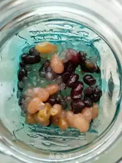 Make Pearl bean tea step 4
