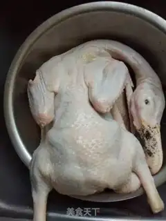 Make Duck step 0