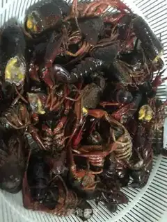 Make Spicy lobster step 1