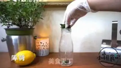 Make Fresh mint tea step 0