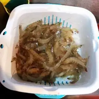 Make Shrimp step 3