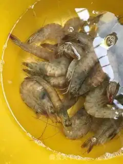 Make Cream shrimp step 15