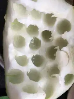 Make Orange Juice Poofball step 0