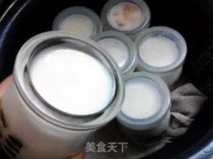 Make Big tarts of pecan yogurt step 13